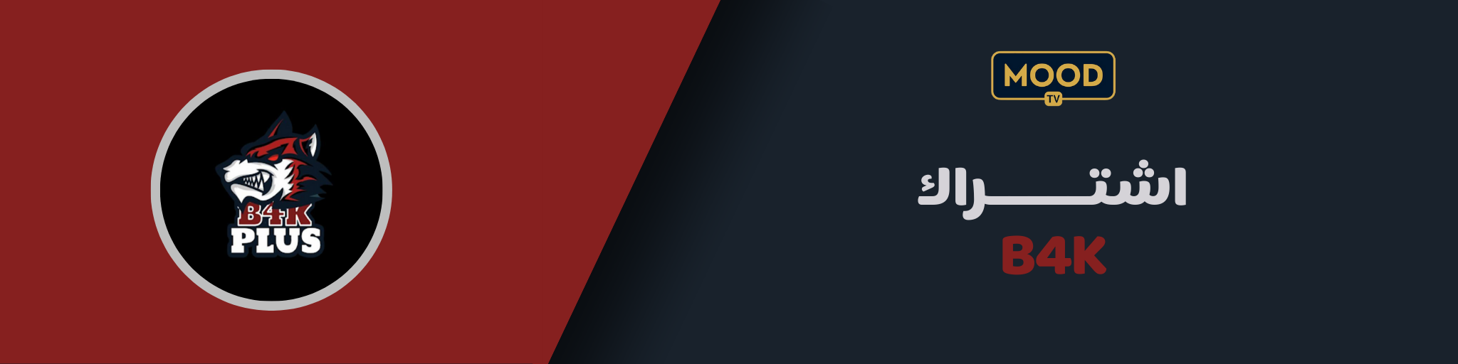banner-1
