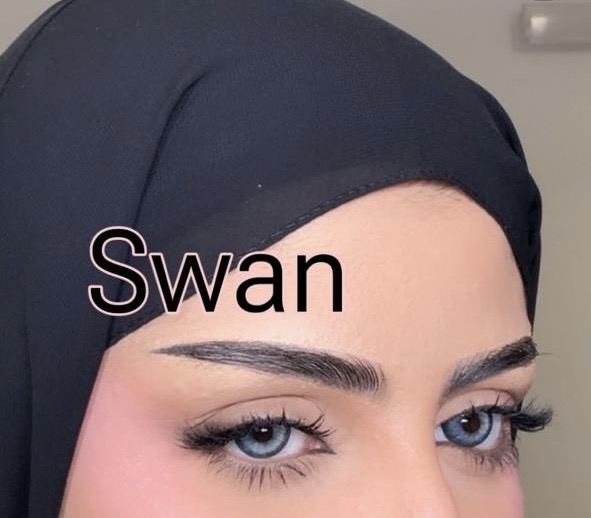 Swan